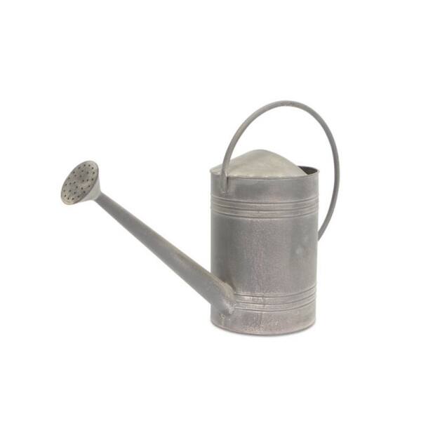 Set of 2 Silver Metal Watering Cans 14" Overstock 16611731